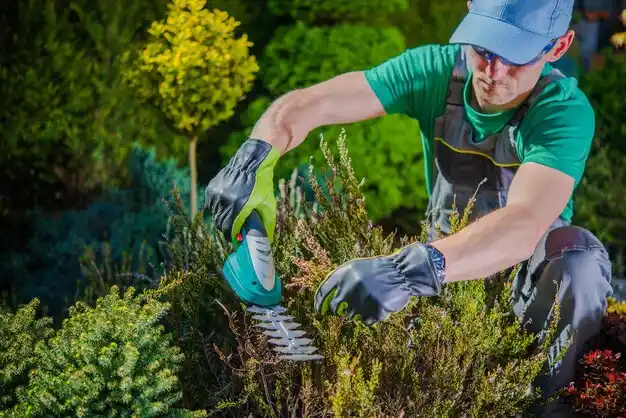 landscaping services East Moriches